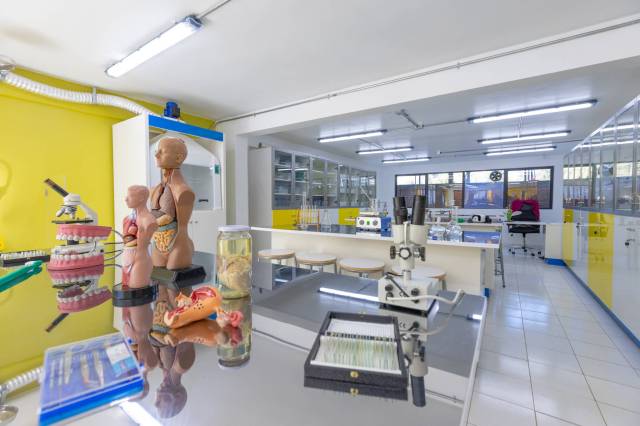Laboratorio 2