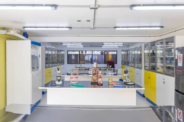 Laboratorio 3